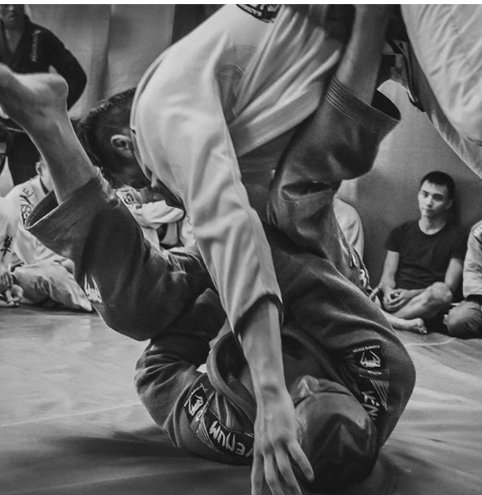 Бразильское джиу джитсу